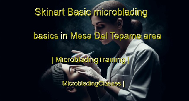 Skinart Basic microblading basics in Mesa Del Tepame area | MicrobladingTraining | MicrobladingClasses | SkinartTraining-Mexico